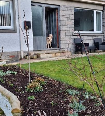 Bed and Breakfast Bb@No17 Aviemore Exterior foto