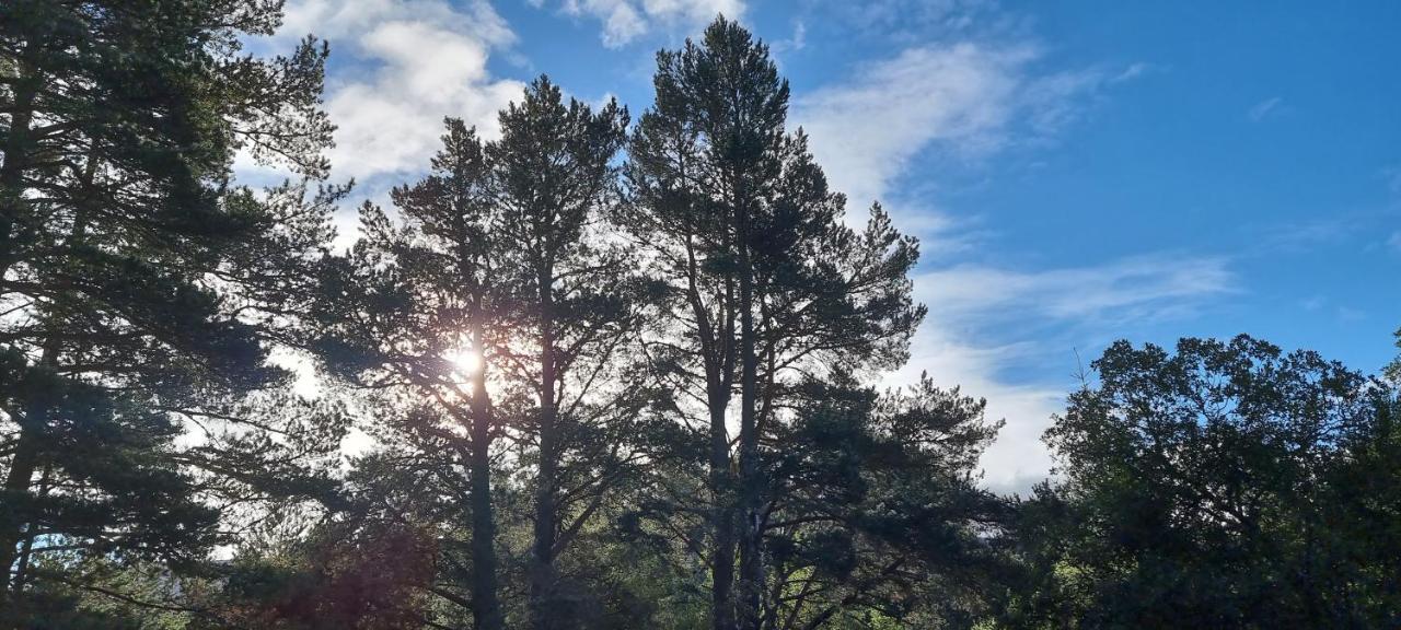 Bed and Breakfast Bb@No17 Aviemore Exterior foto