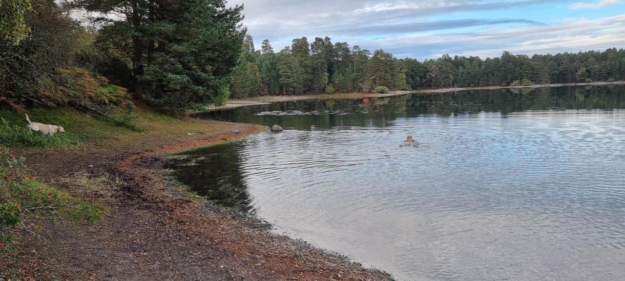 Bed and Breakfast Bb@No17 Aviemore Exterior foto