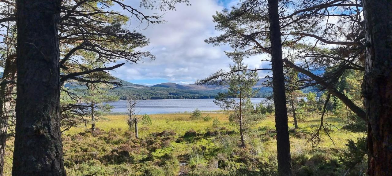 Bed and Breakfast Bb@No17 Aviemore Exterior foto