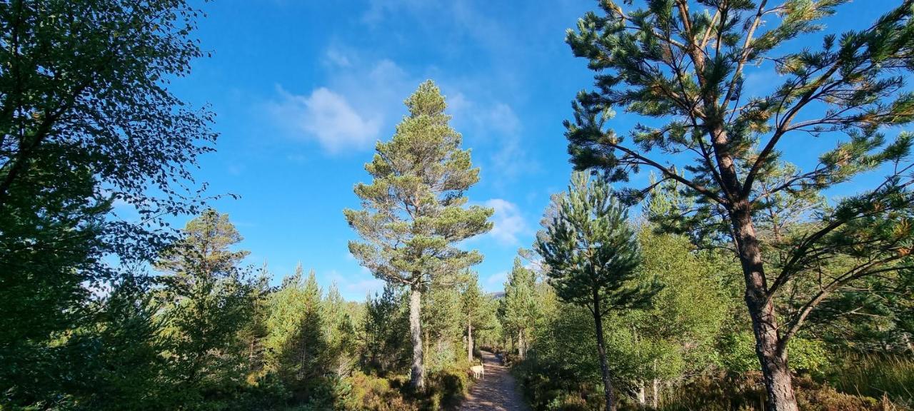 Bed and Breakfast Bb@No17 Aviemore Exterior foto
