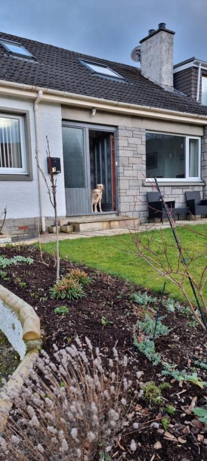 Bed and Breakfast Bb@No17 Aviemore Exterior foto