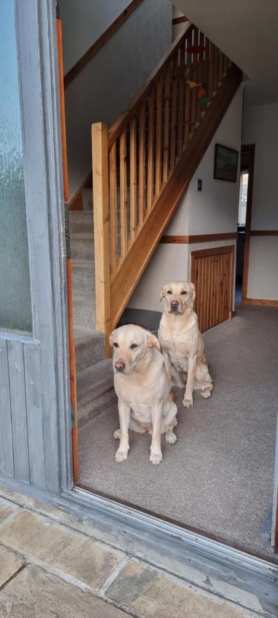 Bed and Breakfast Bb@No17 Aviemore Exterior foto